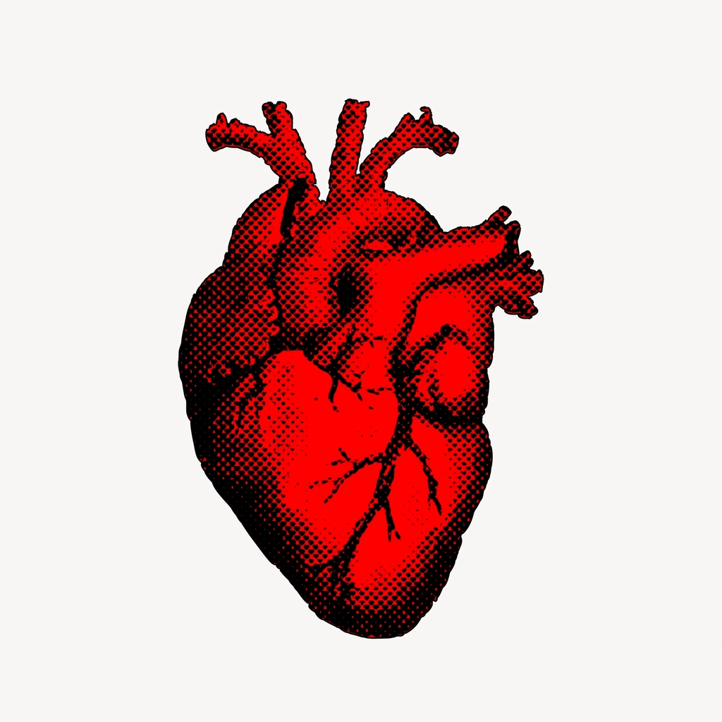 Realistic heart clipart, red illustration